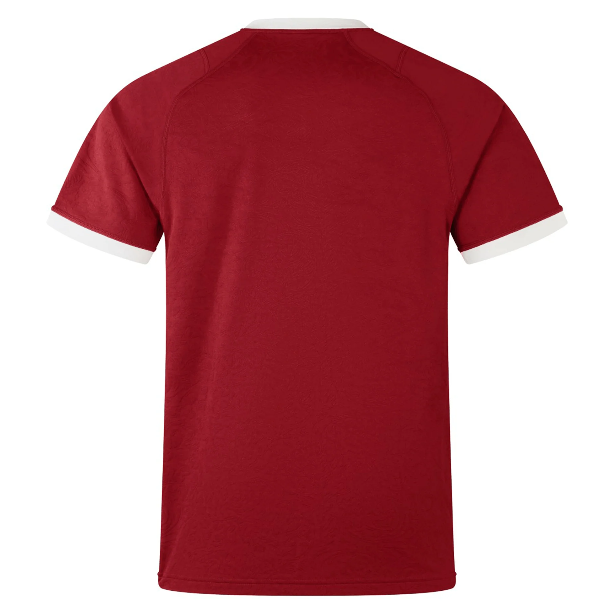 British & Irish Lions 2025 Players Jersey by Canterbury - Image 2