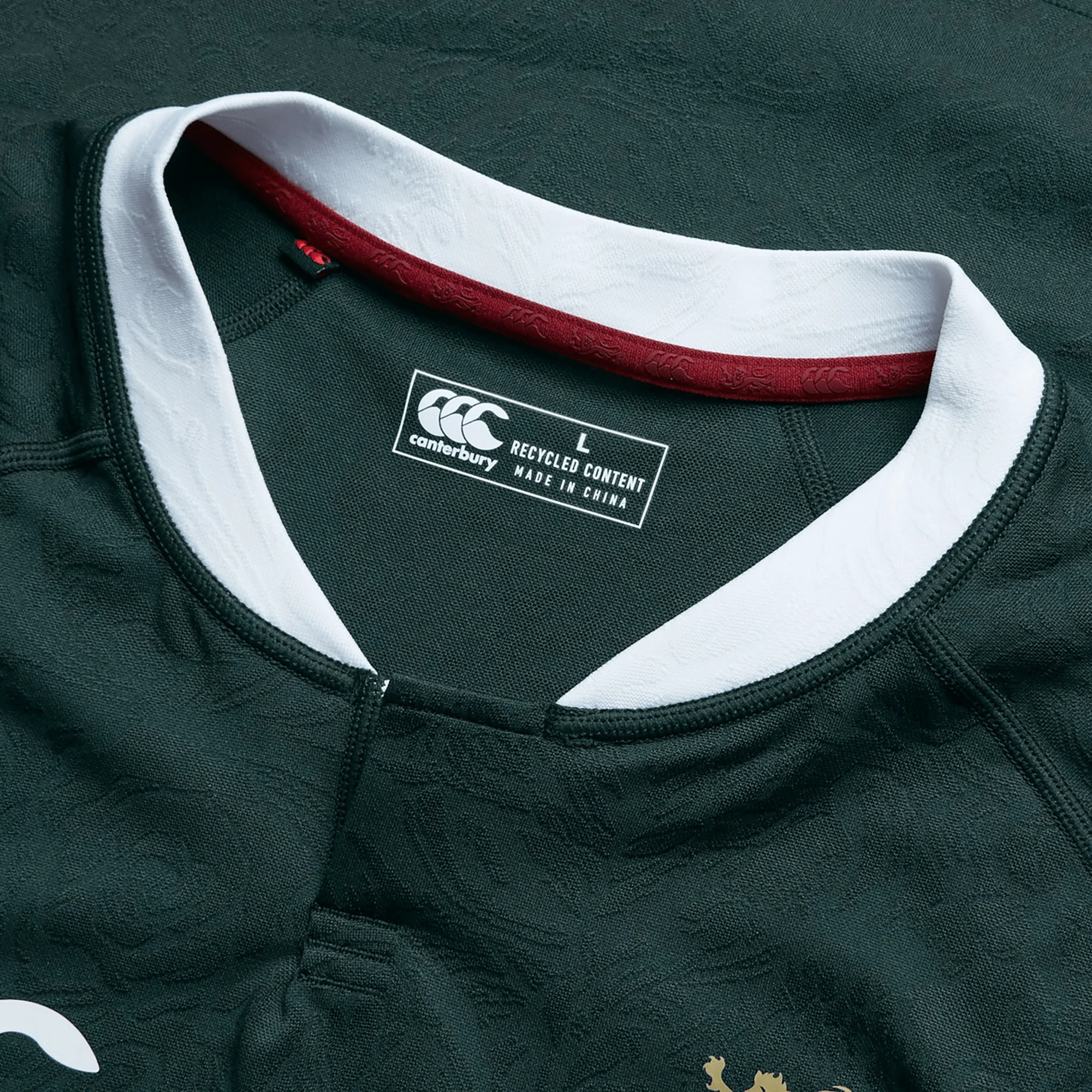 British & Irish Lions 2025 Training Jersey by Canterbury - Image 16