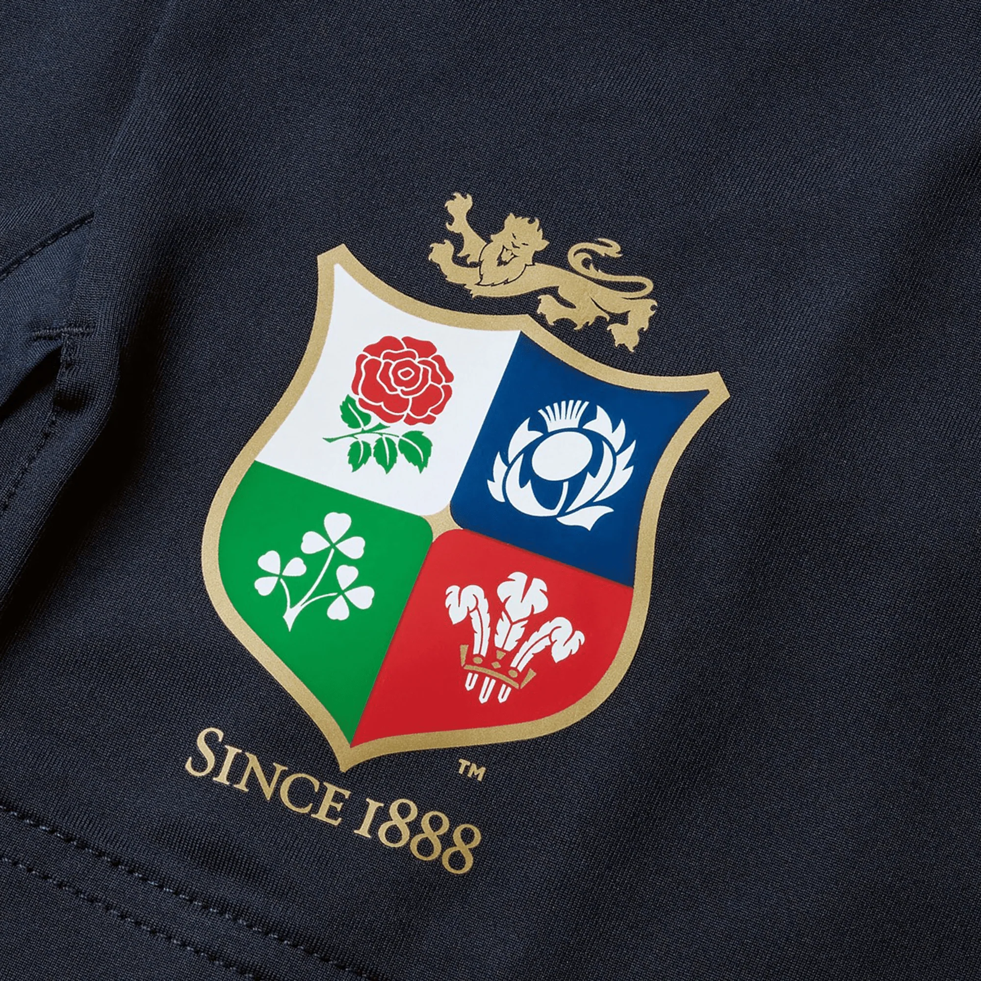 British & Irish Lions 2025 Training Short by Canterbury - Image 3