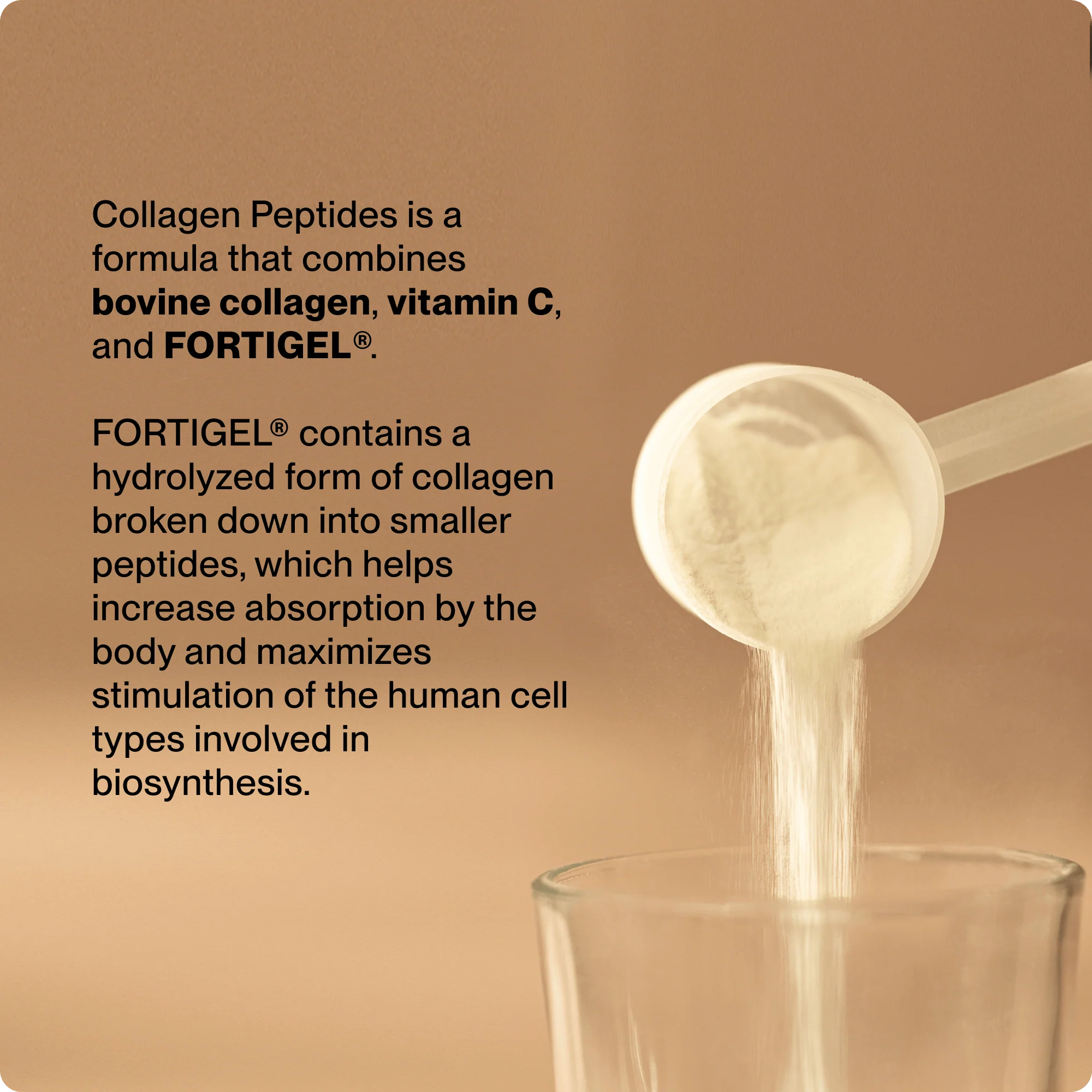 Momentous Collagen Peptides - Image 3