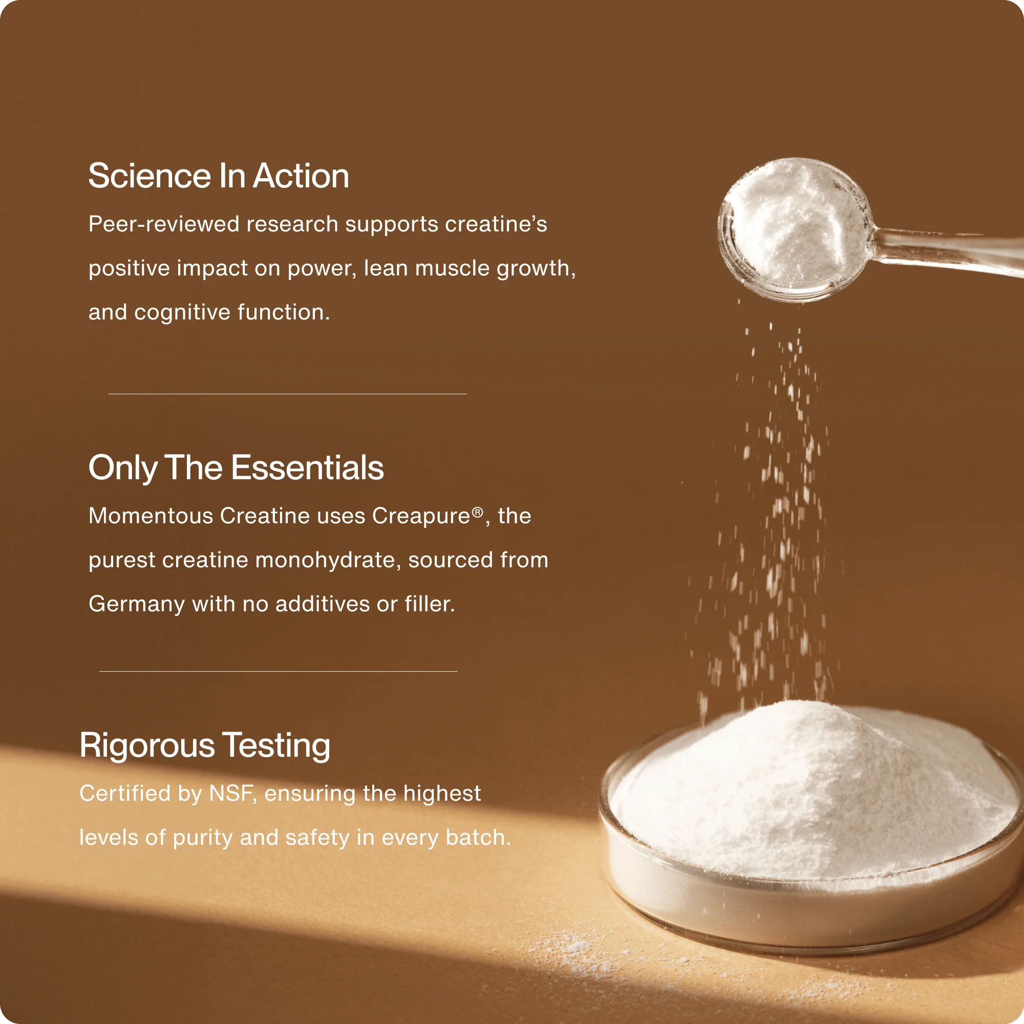 Momentous Creatine - Image 2