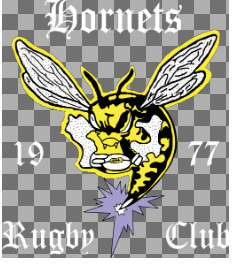 Hornets Rugby Club Full Size HP Logo
