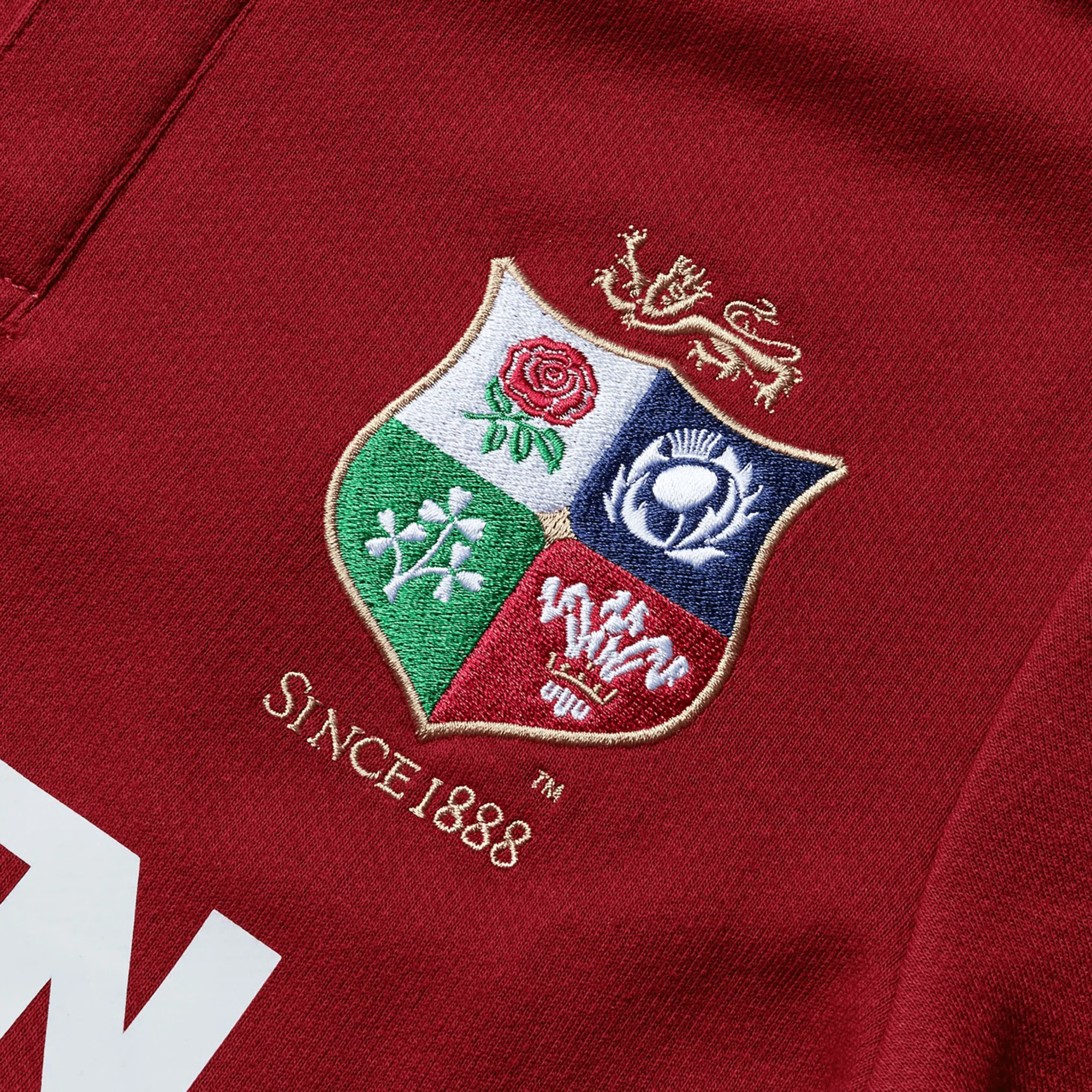 Youth British & Irish Lions 2025 Classic Jersey by Canterbury - Image 4