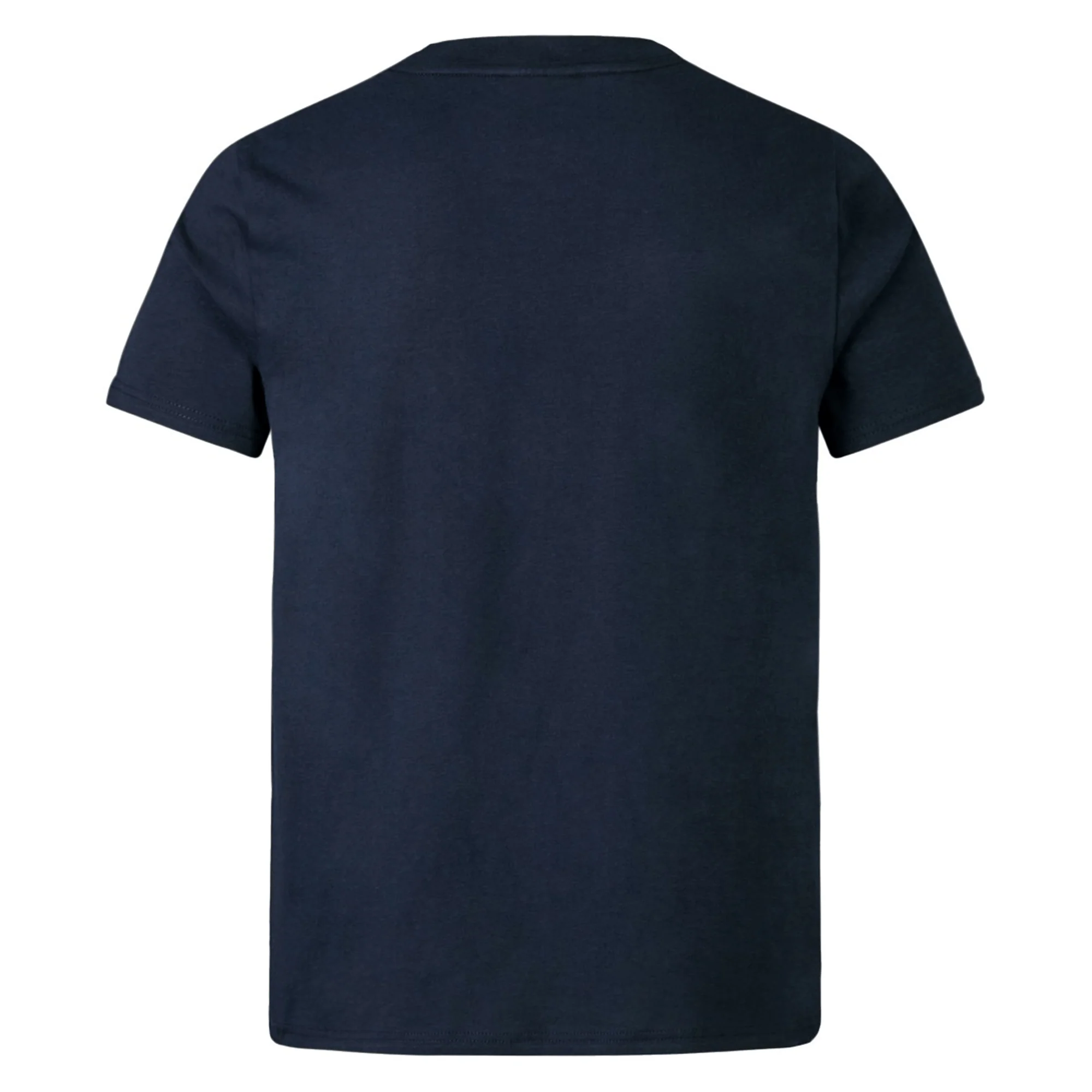 Youth British & Irish Lions 2025 Cotton Jersey Tee by Canterbury - Image 2
