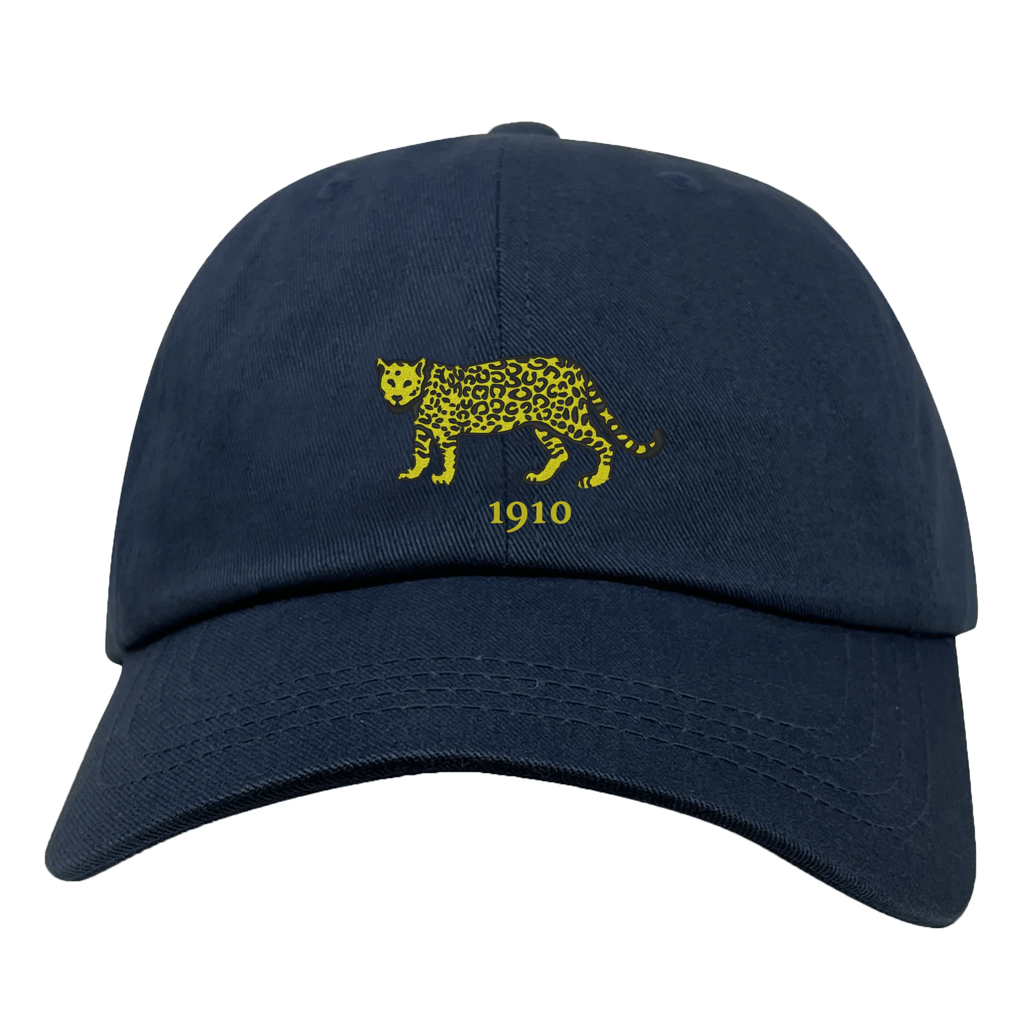 Nations of Rugby Argentina Vintage Dad Cap - Image 3