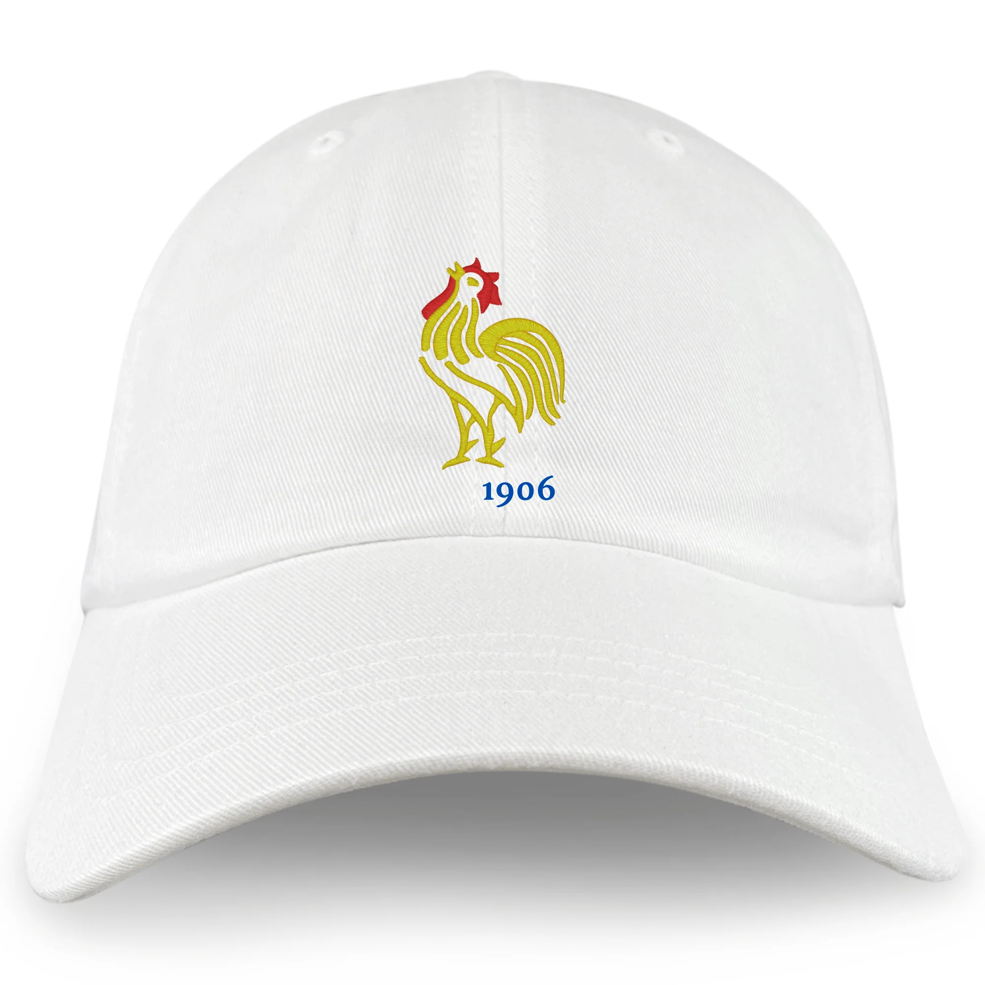 Nations of Rugby France Vintage Dad Cap - Image 2