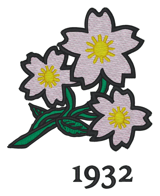 Nations of Rugby Japan Vintage Dad Cap - Image 5