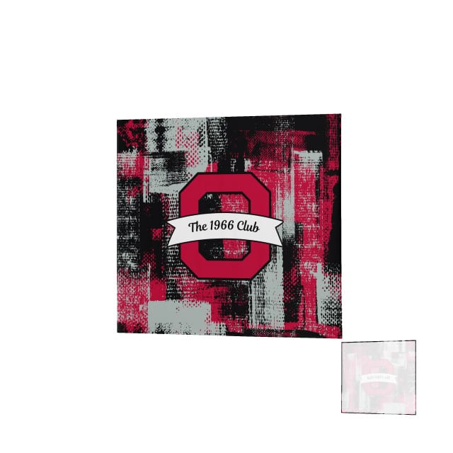 Ohio State University Alumni DNA Denver Blanket