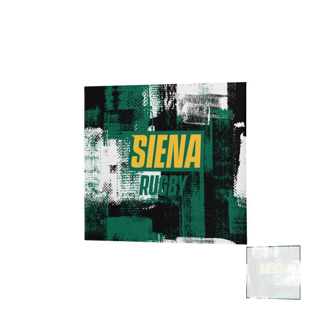 Siena College DNA Denver Blanket