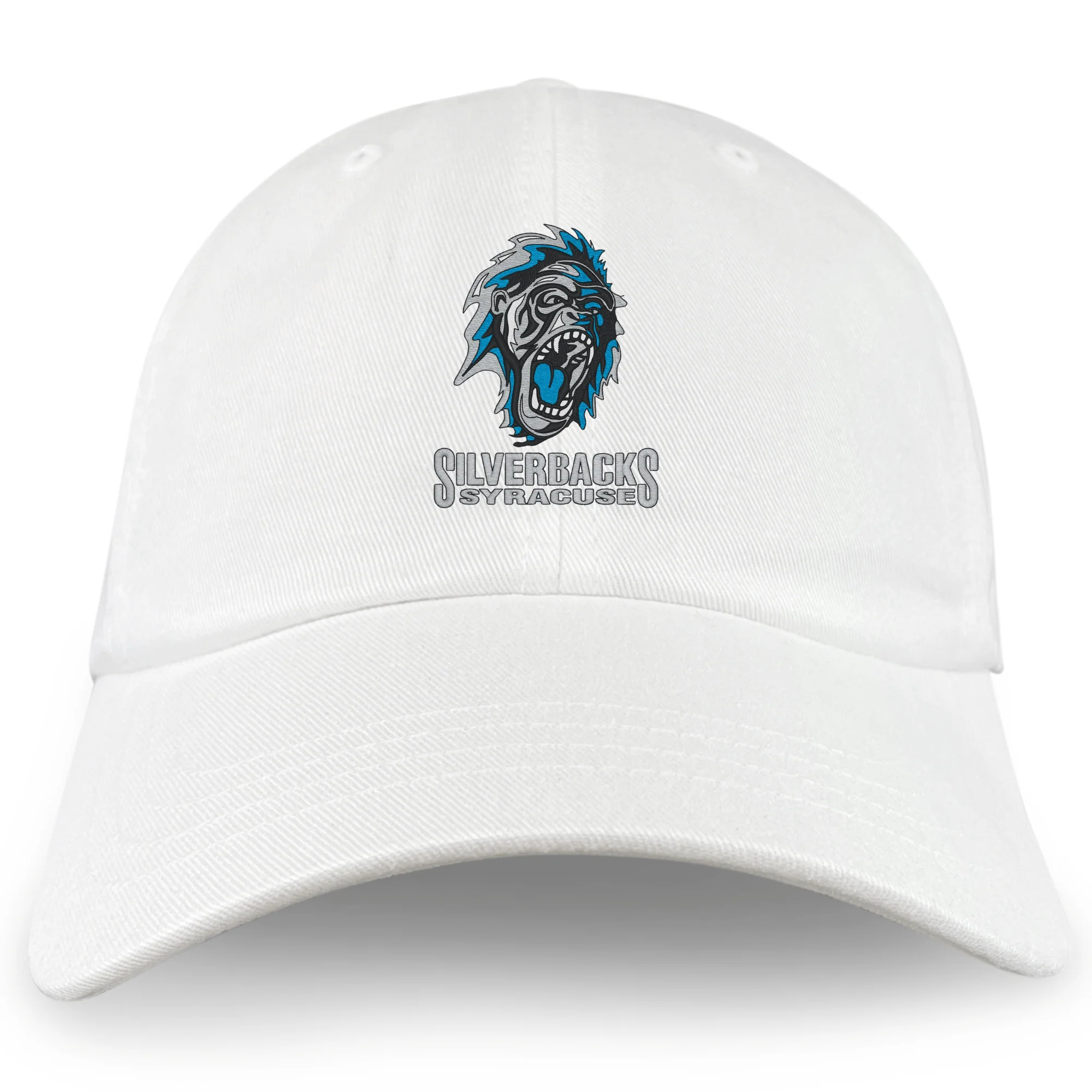 Syracuse Silverbacks Adult Low-Profile Cotton Twill Dad Cap - Image 2