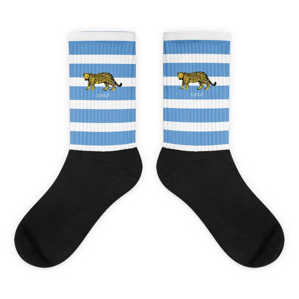 Vintage Argentina Socks