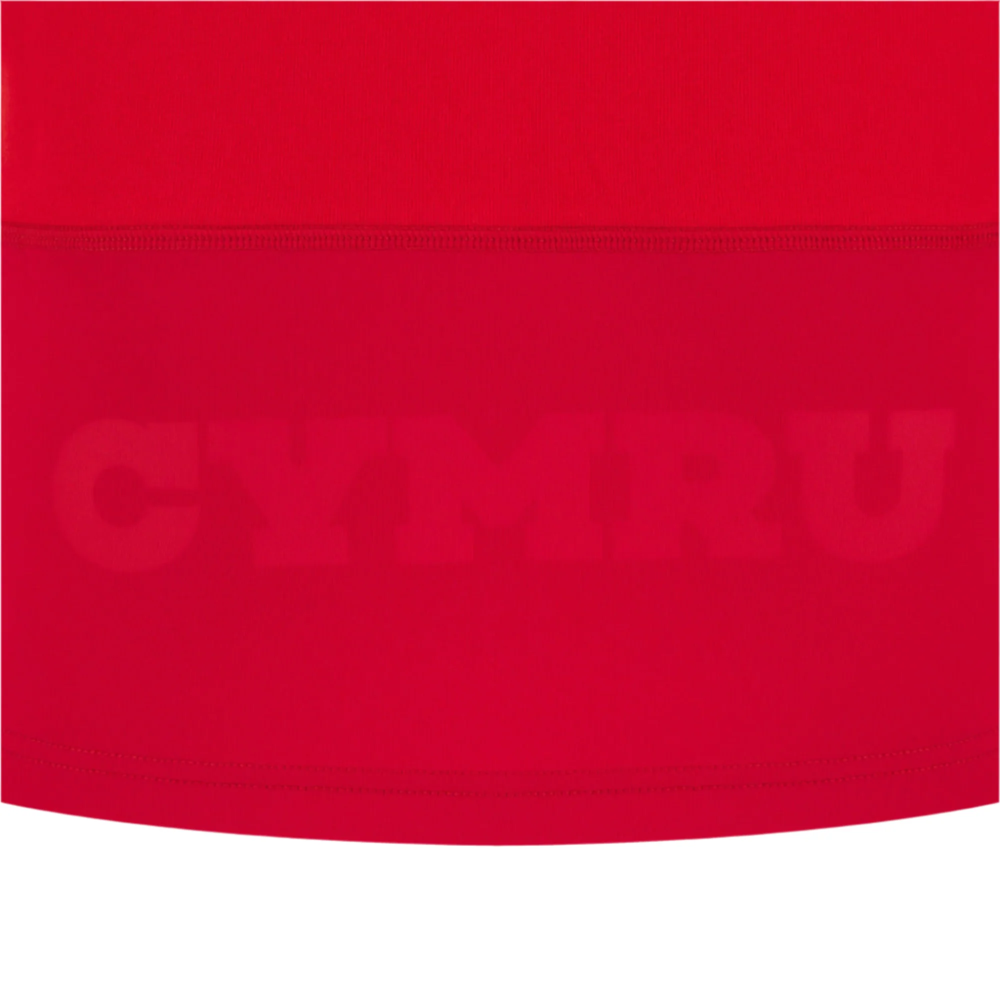Wales 25/26 Replica Home Cotton Jersey by Macron - Image 4