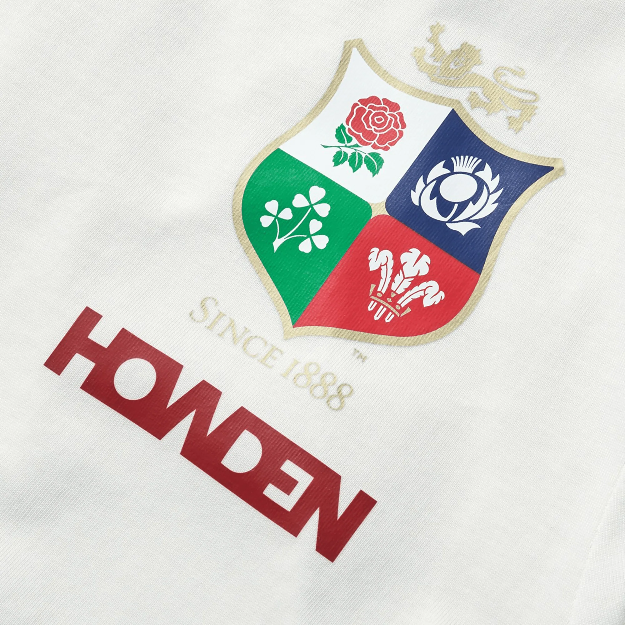 Women's British & Irish Lions 25 Cotton Jersey Tee by Canterbury - Image 3
