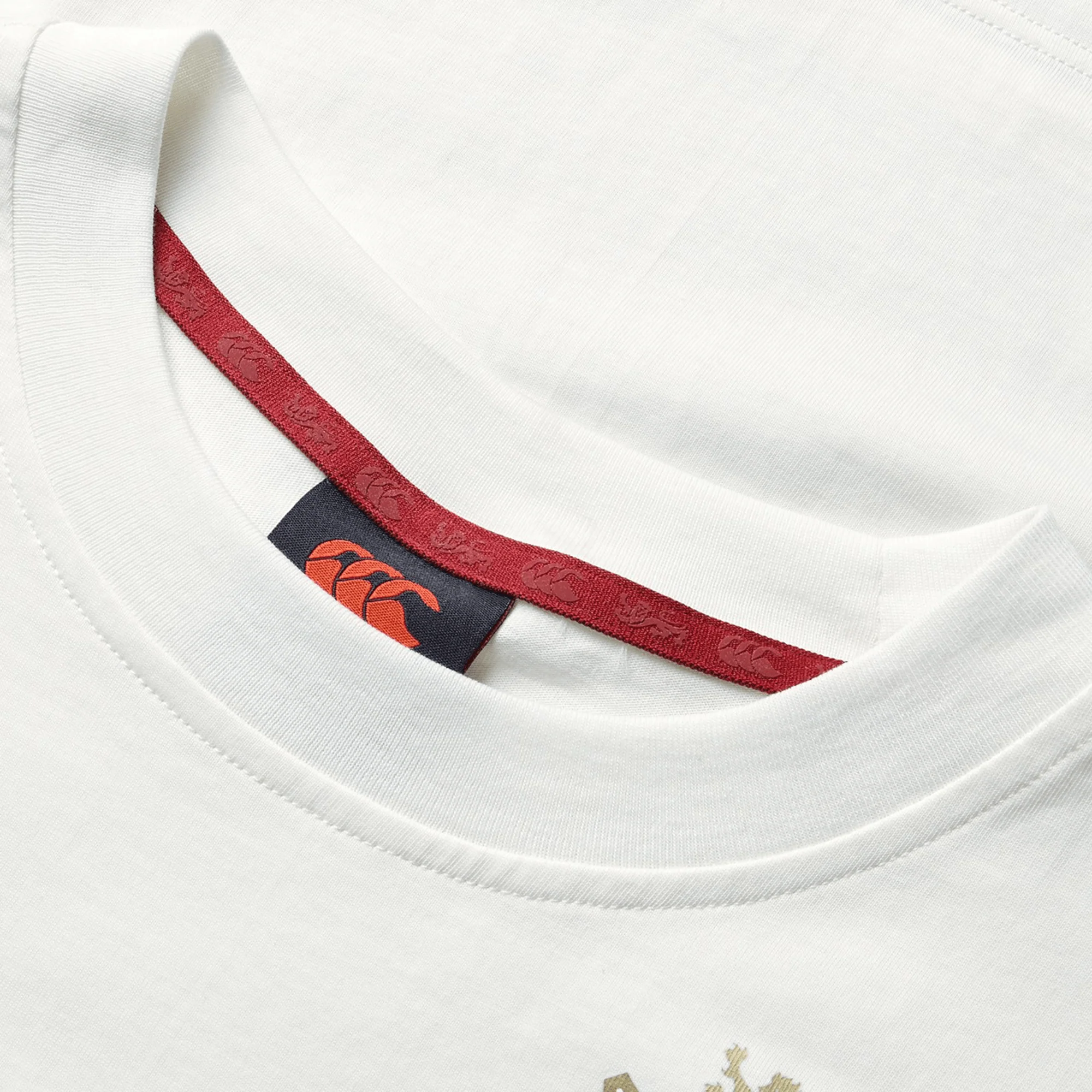 Women's British & Irish Lions 25 Cotton Jersey Tee by Canterbury - Image 5