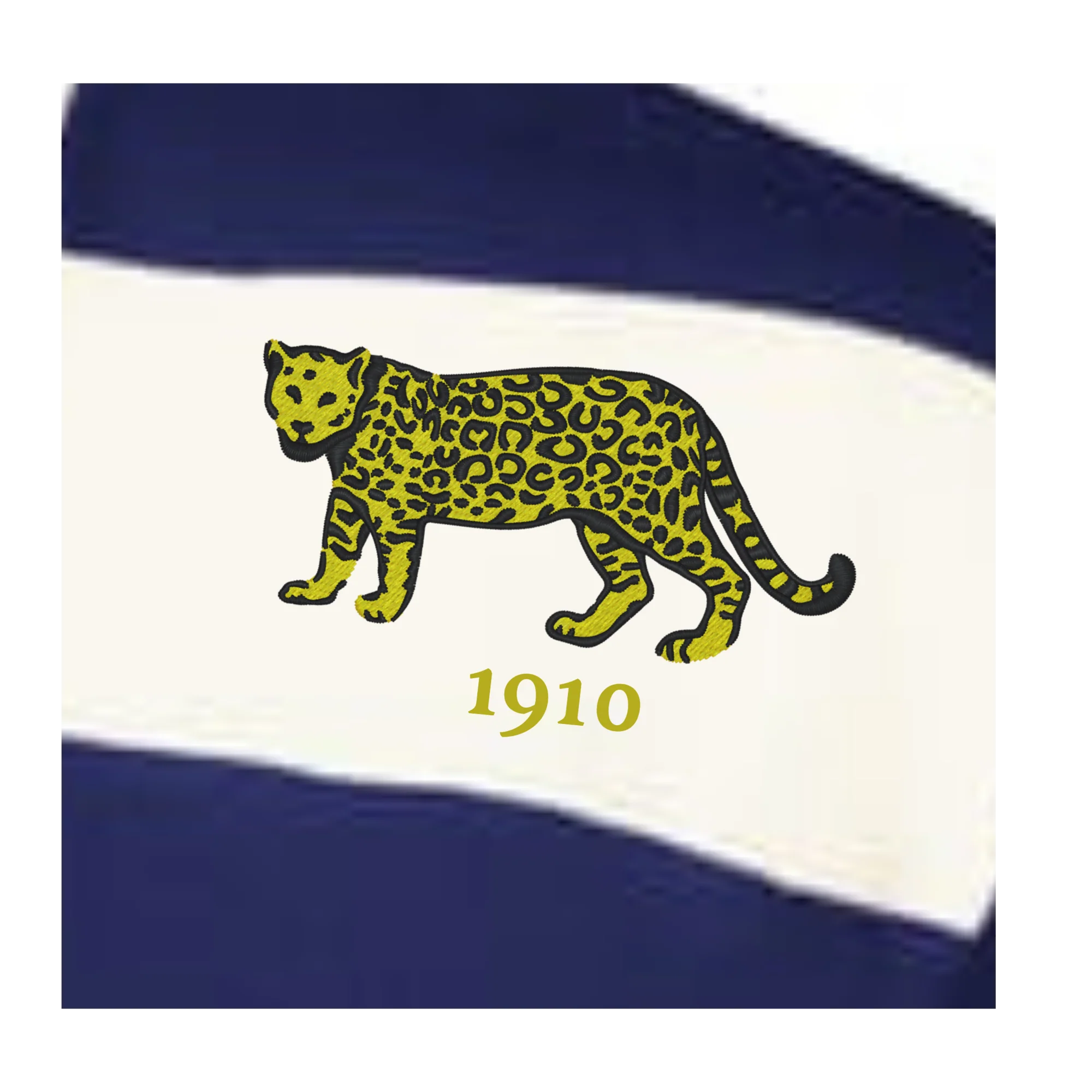 Women's Vintage Argentina Prep Street Rugby Crop - Image 2